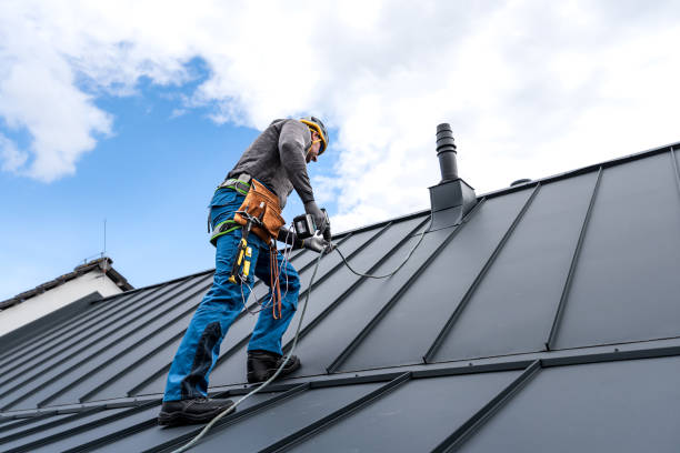 Best Roof Ventilation Installation  in Cape Coral, FL